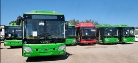 PV, Recibirá, Diez Unidades Renovadas para Transporte Público, que en Julio sumará 90: SETRAN