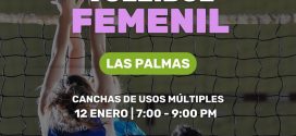 Invitan  a Sumarse a los Torneos Femenil y Varonil de Voleibol en Las Palmas
