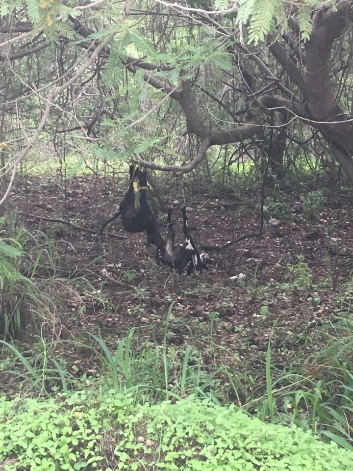 19866545_869419669901234_1630399732_n