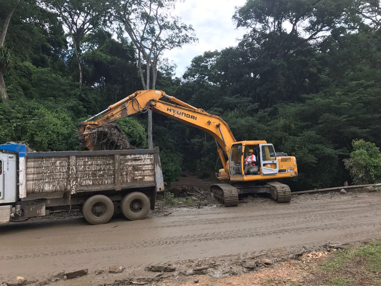 2017-08-29 Desazolve de camino