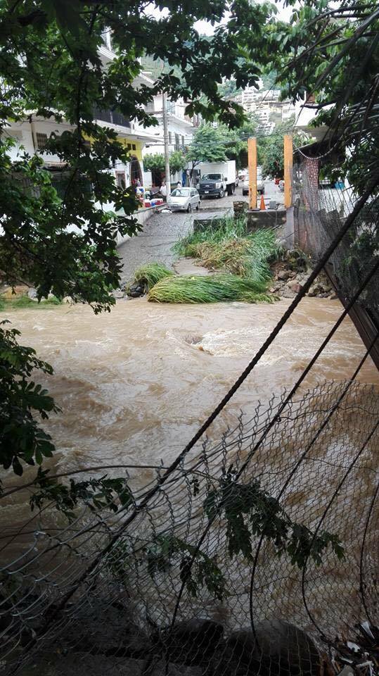 21175136_10159331461340327_1016121867_n