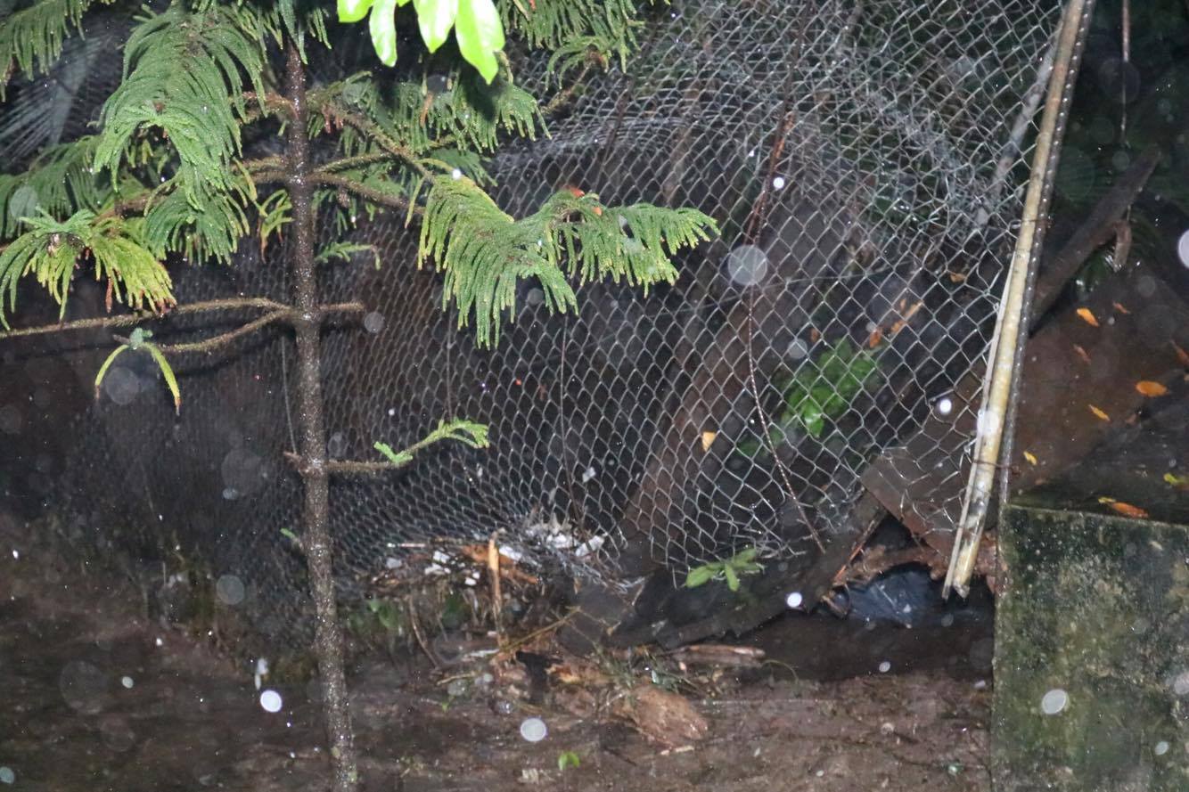 21191320_10159331456505327_1948915153_o