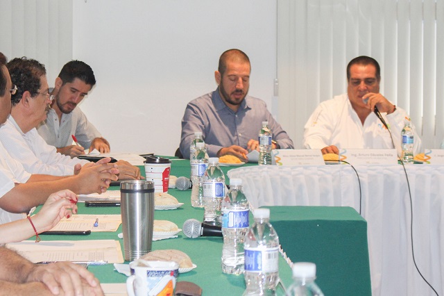 Sesión extraordinaria de Ayuntamiento (2)