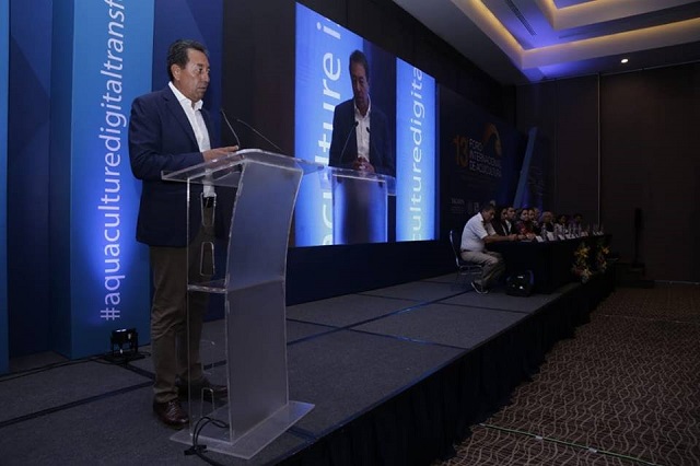 42629572_1074088986098251_2875513894963511296_n