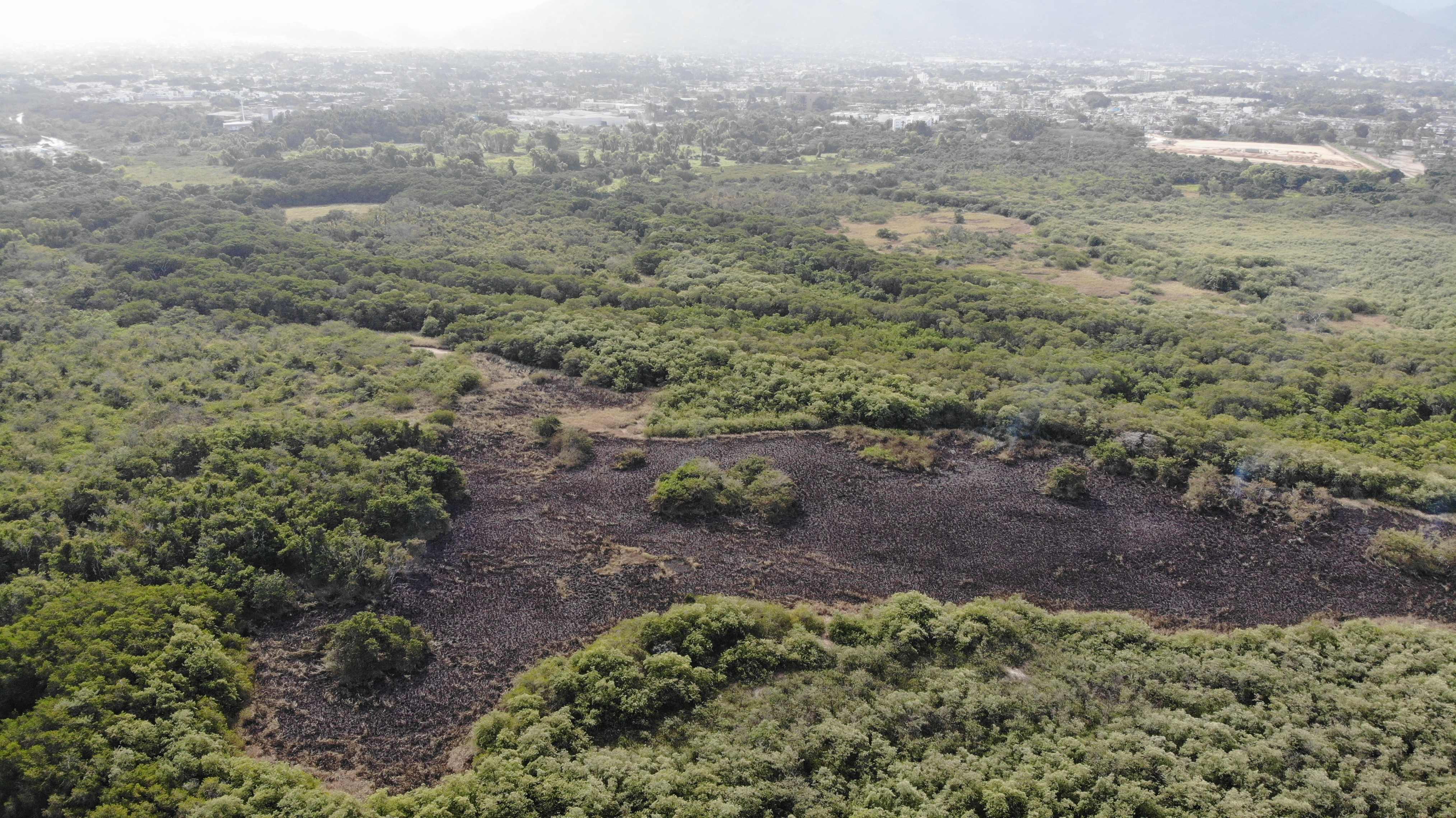 created by dji camera