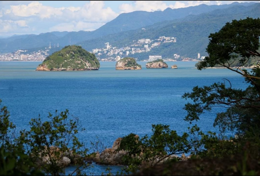 Screenshot_20240125_005114_Facebook