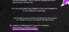 Descarta INE, Exclusión de Mexicanos Registrados en el Extranjero, para Votar el 02 Junio