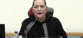 INE, Exhorta Respetar Determinaciones del Tribunal Electoral del Poder Judicial de la Federación, durante Actual Proceso: GTZ