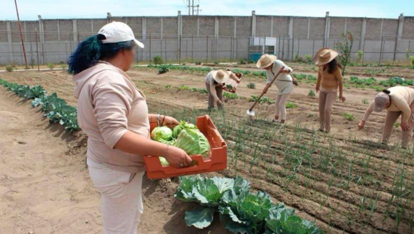 IMG-20240703-WA0068(1)