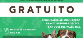 Arrancará Campaña de Esterilización Gratuita en Bahía de Banderas
