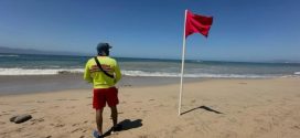 Bandera Roja en Playa de PV, por Avistamiento de Cocodrilo y Oleaje Alto : UEPCyB