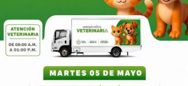 Anuncian esterilizaciones gratuitas para mayo en Puerto Vallarta