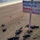 IMG-20260505-WA0036