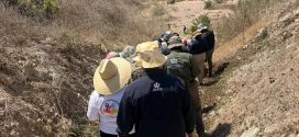 Madres Buscadoras Eealizan Jornada de Búsqueda en Puerto Vallarta Acompañadas por Autoridades