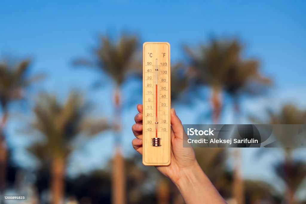 istockphoto-1200895823-1024×1024 Thermometer in hand in front of palm trees and blue sky background. Weather forecast concept