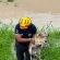 Bomberos rescatan a dos perros atrapados en canal de Parque Las Palmas Bomberos rescatan a dos perros atrapados en canal de Parque Las Palmas