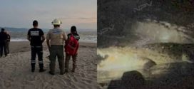 Muerte de Joven, Atacado por Cocodrilo en PV, exige Reforzamiento de Medidas Preventivas: GE