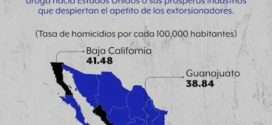 La Violencia Homicida y Letal en Jalisco, registra Disminución de 20%: OME