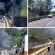 Nueve Fallecidos, deja Accidente Carretero, cercano a Caseta de Cobro en Plan de Barrancas, rumbo a Tepic : UMPC /SSJ Nueve Fallecidos, deja Accidente Carretero, cercano a Caseta de Cobro en Plan de Barrancas, rumbo a Tepic : UMPC /SSJ