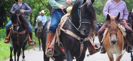 Las Palmas vive la tradicional cabalgata de las pre paseadas