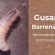 Confirman primer caso de gusano barrenador en un residente de Puerto Vallarta Confirman primer caso de gusano barrenador en un residente de Puerto Vallarta