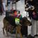 Aeropuertos de PV y Guadalajara, Primeros del País, en Revisiones Fitozoosanitarias a Equipajes: SADER /ASICA Aeropuertos de PV y Guadalajara, Primeros del País, en Revisiones Fitozoosanitarias a Equipajes: SADER /ASICA