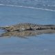 IMG-20260810-WA0235