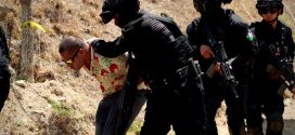 181 personas fueron detenidas durante el periodo vacacional de verano en Jalisco