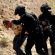 181 personas fueron detenidas durante el periodo vacacional de verano en Jalisco
