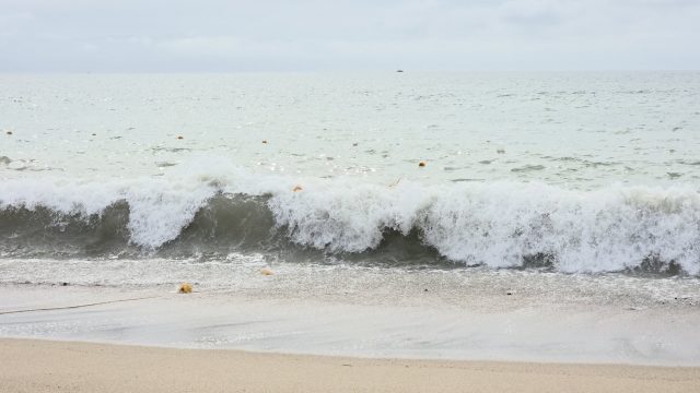 IMG-20260902-WA0177