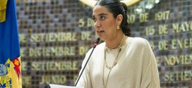 Expansión Inmobiliaria Irregular en PV y Bahía de Banderas, Amenaza Conservación o Existencia de Cocodrilos: AFH