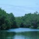 IMG-20260917-WA0012