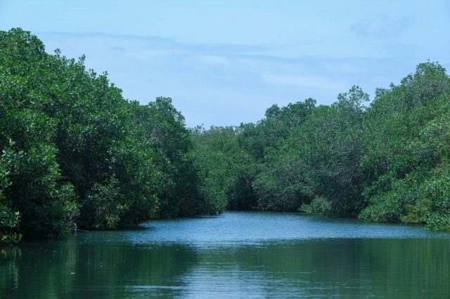 IMG-20260917-WA0012