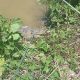 IMG-20260917-WA0128