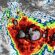 Activada Alerta Azul, ante Posibilidad de que Huracán POLO, avance en Categoría 3, desde este Martes: CENAPRED Activada Alerta Azul, ante Posibilidad de que Huracán POLO, avance en Categoría 3, desde este Martes: CENAPRED